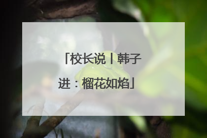 校长说丨韩子进：榴花如焰