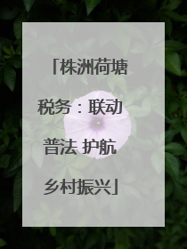 株洲荷塘税务：联动普法 护航乡村振兴