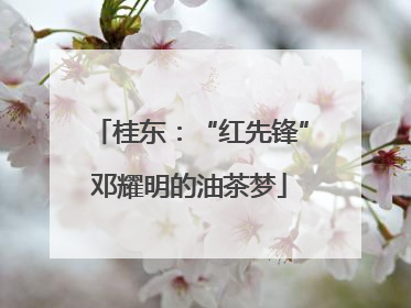 桂东：“红先锋”邓耀明的油茶梦