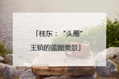 桂东：“头雁”王镇的蓝图美景
