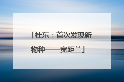桂东：首次发现新物种——宽距兰