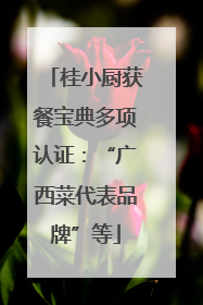 桂小厨获餐宝典多项认证：“广西菜代表品牌”等