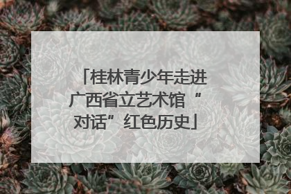 桂林青少年走进广西省立艺术馆“对话”红色历史