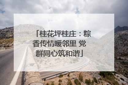 桂花坪桂庄：粽香传情暖邻里 党群同心筑和谐