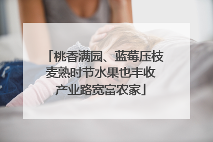 桃香满园、蓝莓压枝 麦熟时节水果也丰收 产业路宽富农家