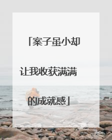 案子虽小却让我收获满满的成就感
