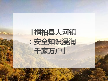 桐柏县大河镇：安全知识浸润千家万户