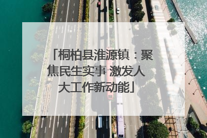桐柏县淮源镇：聚焦民生实事 激发人大工作新动能