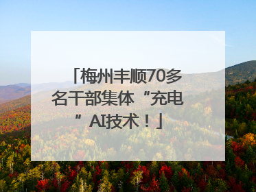 梅州丰顺70多名干部集体“充电”AI技术！