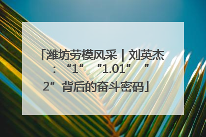 潍坊劳模风采｜刘英杰：“1”“1.01”“2”背后的奋斗密码