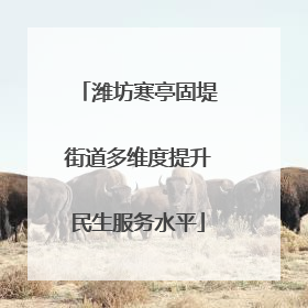 潍坊寒亭固堤街道多维度提升民生服务水平
