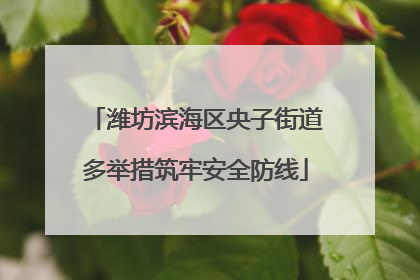 潍坊滨海区央子街道多举措筑牢安全防线