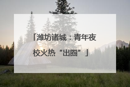 潍坊诸城：青年夜校火热“出圈”