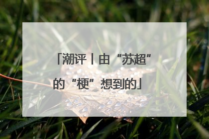 潮评丨由“苏超”的“梗”想到的