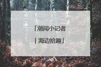潮闻小记者｜海边拾趣