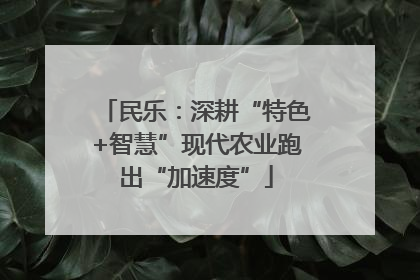民乐：深耕“特色+智慧”现代农业跑出“加速度”
