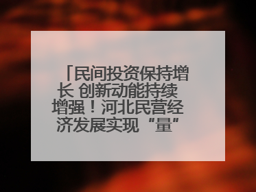 民间投资保持增长 创新动能持续增强！河北民营经济发展实现“量”“质”双提升