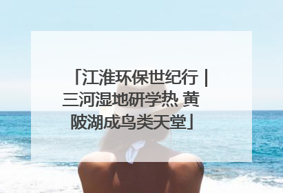 江淮环保世纪行｜三河湿地研学热 黄陂湖成鸟类天堂