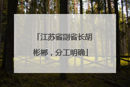 江苏省副省长胡彬郴，分工明确