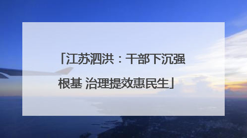 江苏泗洪：干部下沉强根基 治理提效惠民生