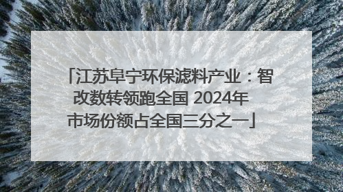 江苏阜宁环保滤料产业：智改数转领跑全国 2024年市场份额占全国三分之一
