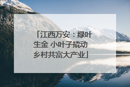 江西万安：绿叶生金 小叶子撬动乡村共富大产业