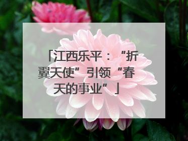 江西乐平：“折翼天使”引领“春天的事业”