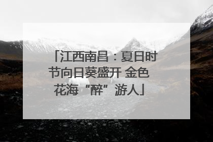 江西南昌：夏日时节向日葵盛开 金色花海“醉”游人