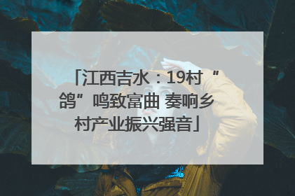 江西吉水：19村“鸽”鸣致富曲 奏响乡村产业振兴强音