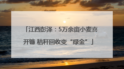 江西彭泽：5万余亩小麦喜开镰 秸秆回收变“绿金”