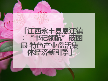 江西永丰县恩江镇：“书记领航”破困局 特色产业盘活集体经济新引擎