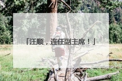 汪顺，连任副主席！
