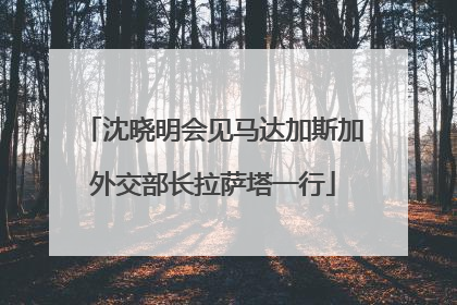 沈晓明会见马达加斯加外交部长拉萨塔一行
