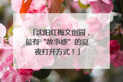 沈阳红梅文创园，最有“故事感”的夏夜打开方式！