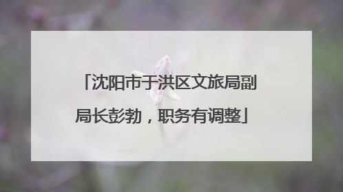 沈阳市于洪区文旅局副局长彭勃，职务有调整