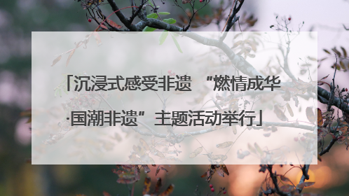 沉浸式感受非遗 “燃情成华·国潮非遗”主题活动举行