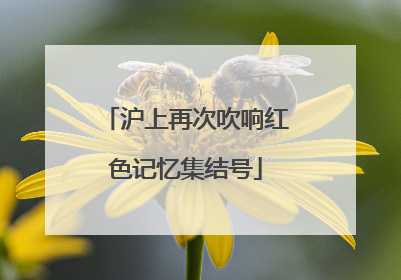 沪上再次吹响红色记忆集结号