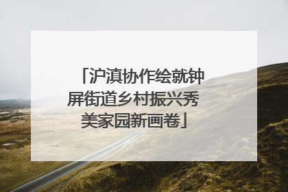 沪滇协作绘就钟屏街道乡村振兴秀美家园新画卷