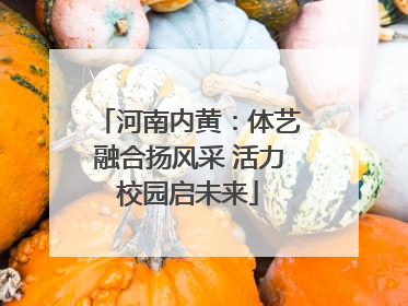 河南内黄：体艺融合扬风采 活力校园启未来