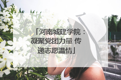 河南城建学院：凝聚党团力量 传递志愿温情