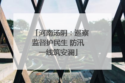 河南汤阴：巡察监督护民生 防汛一线筑安澜