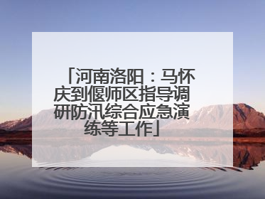 河南洛阳：马怀庆到偃师区指导调研防汛综合应急演练等工作