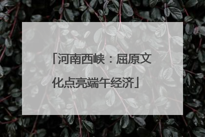 河南西峡：屈原文化点亮端午经济