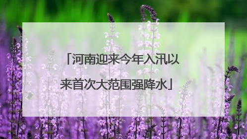 河南迎来今年入汛以来首次大范围强降水