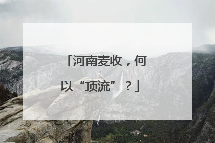 河南麦收，何以“顶流”？