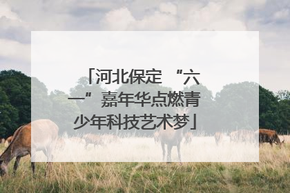河北保定 “六一”嘉年华点燃青少年科技艺术梦