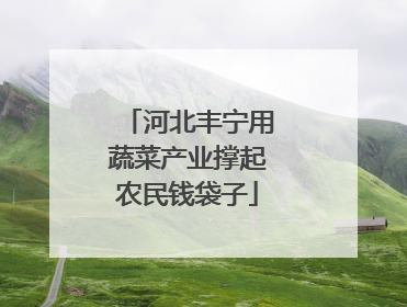 河北丰宁用蔬菜产业撑起农民钱袋子