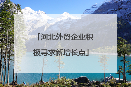 河北外贸企业积极寻求新增长点