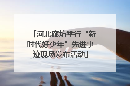河北廊坊举行“新时代好少年”先进事迹现场发布活动