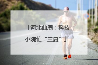 河北曲周：科技小院忙“三夏”